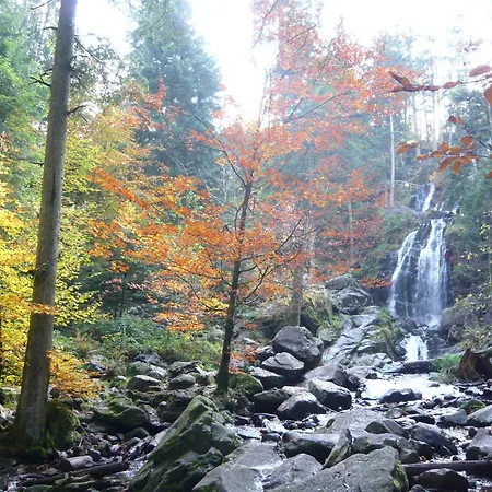 Chalet Nature Ressourcement-vosges Le Tholy