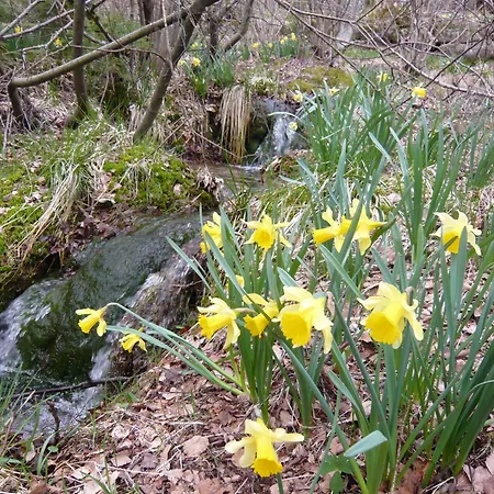 Шале Nature Ressourcement-vosges *