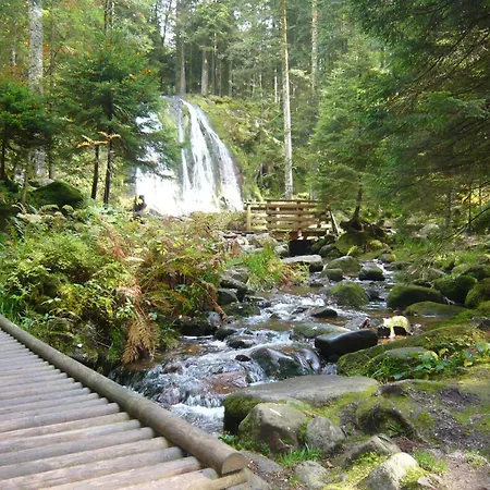 Шале Nature Ressourcement-vosges Ле-Толи